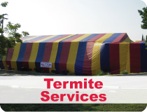 termite_services